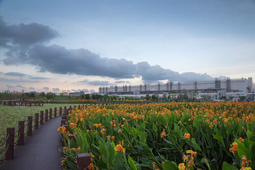 TCL CSOT Wetland Park