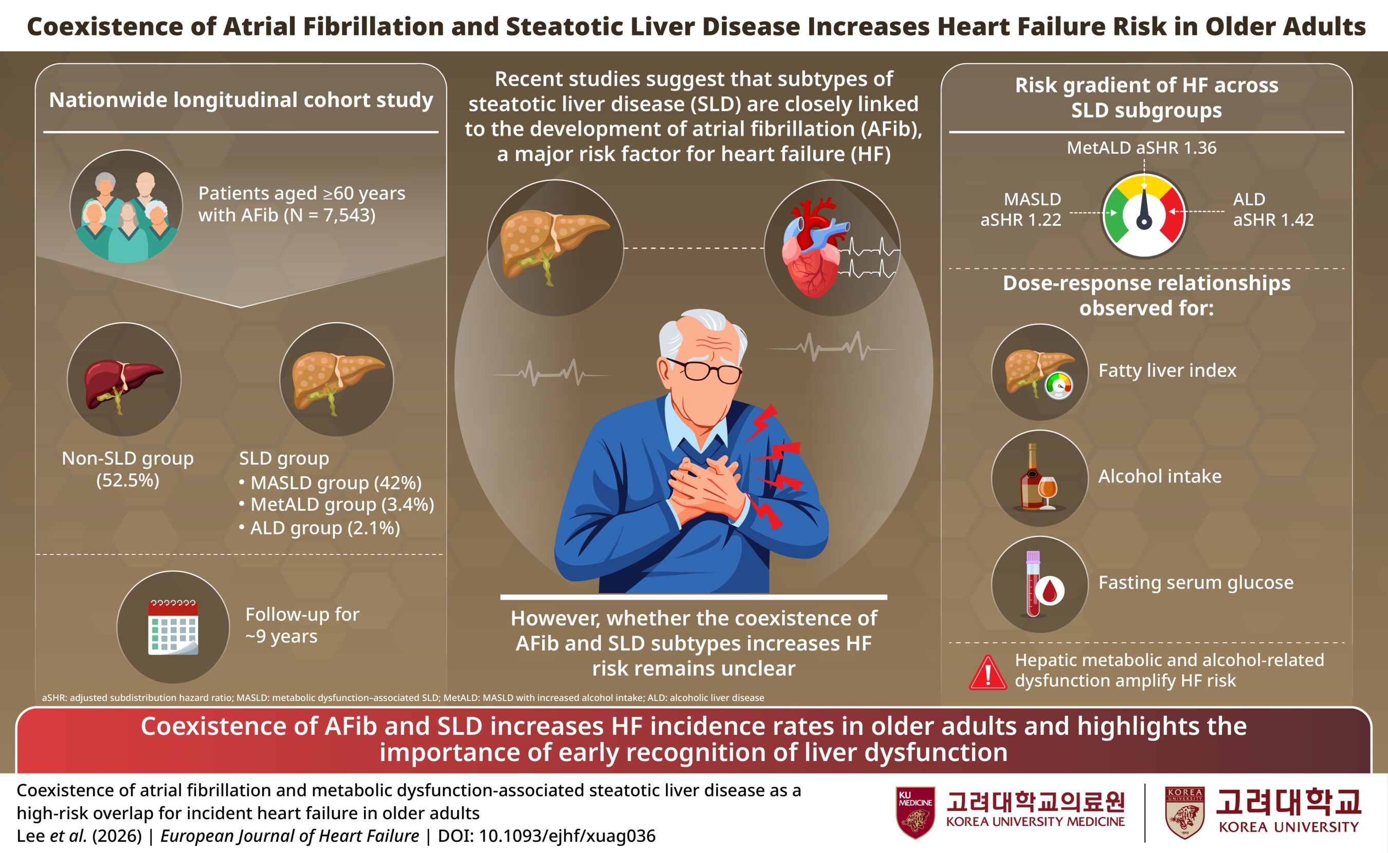 Korea University Study Identifies Liver-Metabolic Disease as