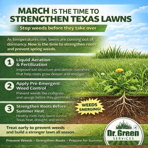 Dr. Green Services Advises Texas Homeowners: March Is the Critical Window to Strengthen Lawns and Stop Spring Weeds