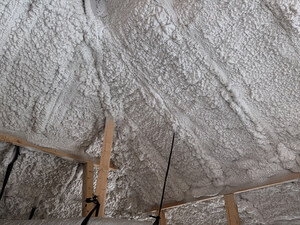 Elastochem Launches Sucrose-Free Insulthane® OCX Plus Spray Foam