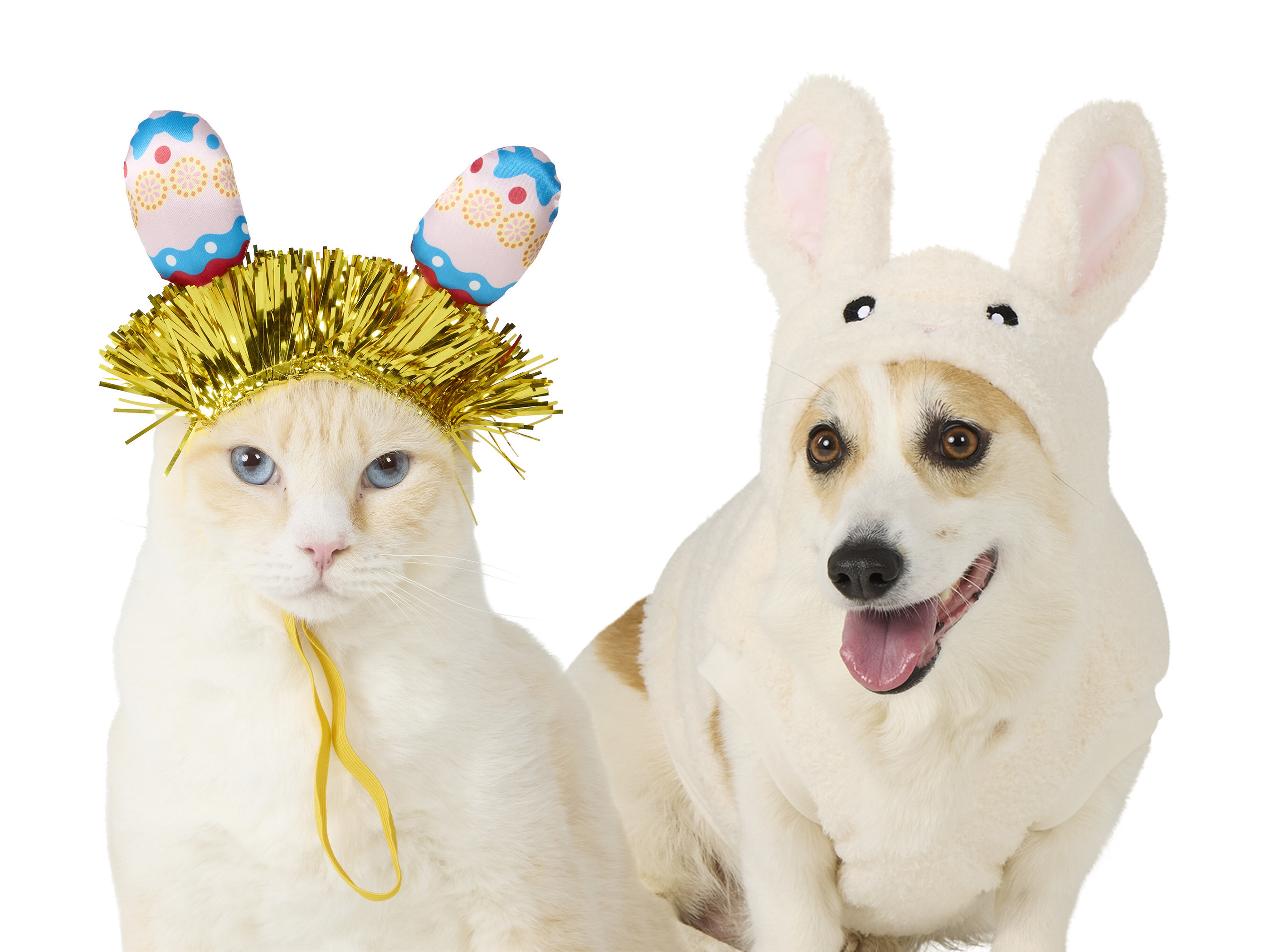 PetSmart's Easter Egg Hunt is Hopping Into Stores Nationwide