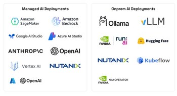 AccuKnox Supports Flexible AI Security Deployments