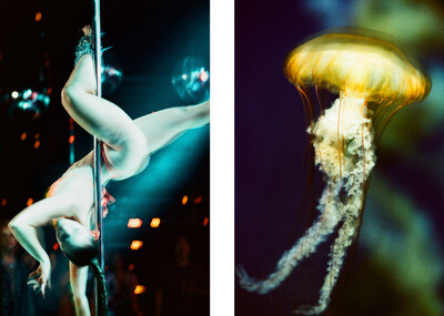 Elizabeth Waterman Debuts Propulsion at this year's Photo London with Albumen Gallery