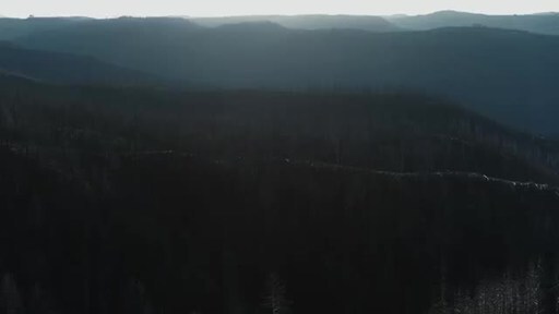 Ajax Creative Launches Human-First Branded Documentary Series Filmed in Crisis Zones Across the U.S.