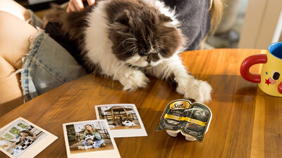 Nearly two-thirds of cat owners say they’ve felt ignored by their cat. The SHEBA® brand is helping cat parents—even the most famous—build a deeper bond, one meal at a time