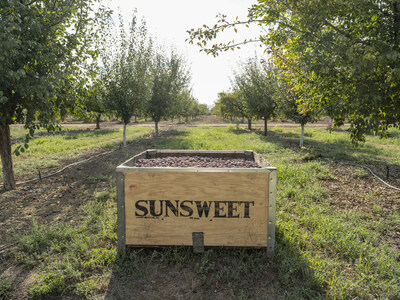 As consumer interest in healthier snacking continues to expand, global crop meets demand.