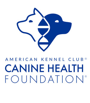 AKC Canine Health Foundation Joins All Access hosted by Andy Garcia to Explore the Science of Veterinary Innovation