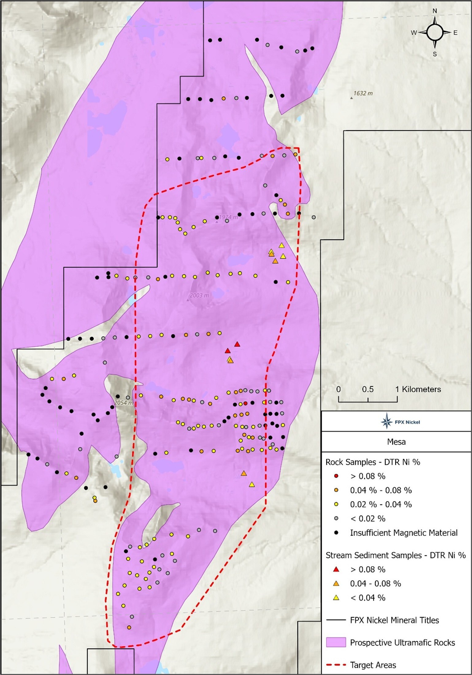 Figure 3 – Mesa Target area (CNW Group/FPX Nickel Corp.)