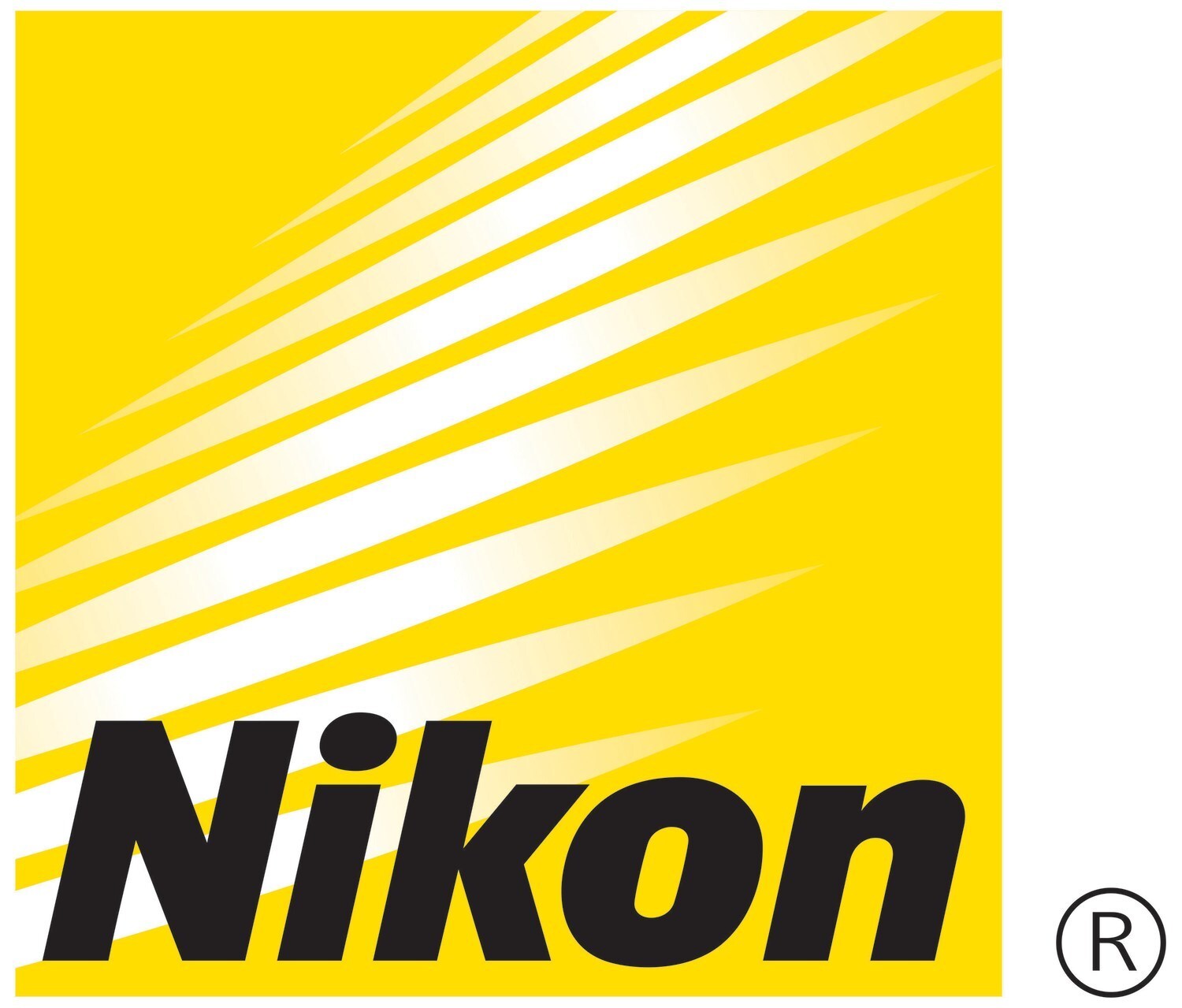 NIKON INC. AND NYC SALT EXTENDS COLLABORATIVE PARTNERSHIP TO