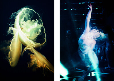 Elizabeth Waterman, Jellyfish Diptych #4 Title left: Three moon jellies (Auerlia labiata) touching, 2024 Title right: Dancer in ghostly blue light at Polemasters Playhouse in West Hollywood, 2024 33mm film