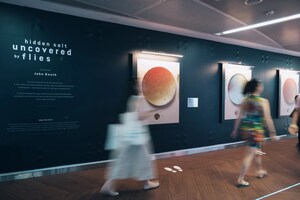 Artist Uses Flies to Reveal the Truth About Sodium