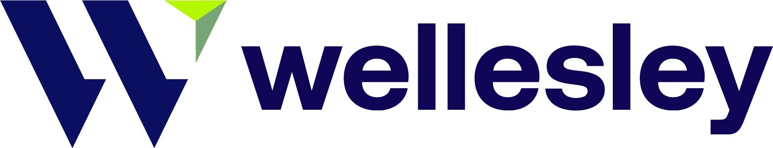 Wellesley Information Services Appoints Jeremy Rueb as Chief