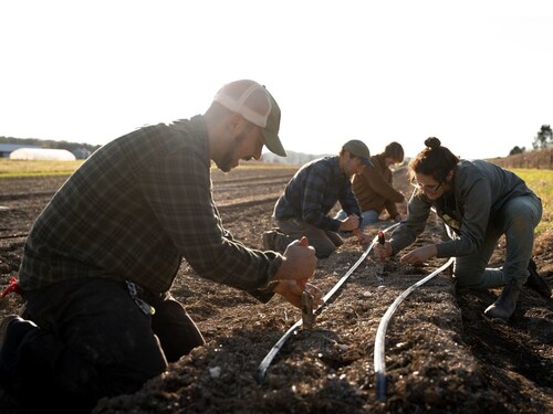 Natural Grocers® and Rodale Institute team up once again for the annual Ladybug Love campaign, an Earth Month initiative focused on protecting beneficial insects while supporting regenerative organic agriculture and farmer training programs. Photo courtesy of Rodale Institute.