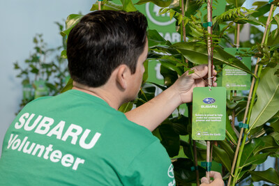 Trees provide oxygen, filter water, clean the air, prevent flooding, and cool environments to help build healthier communities and a sustainable planet. Every year, cities lose millions of trees to age, disease, infestation, and extreme weather. To help address this loss, Subaru, its retailers, and the Arbor Day Foundation will distribute 65,000 trees this year, building on a legacy of supporting environmental causes that include replanting 1 million trees to address post-wildfire reforestation.