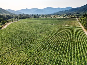 FarmTogether Sustainable Farmland Fund Delivers Third Consecutive Year of Benchmark Outperformance