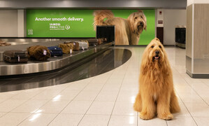 The IAMS™ Brand Delivers Whole-Body Health for "Smooth Deliveries" at Home