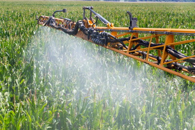 Herbicide being sprayed on corn.