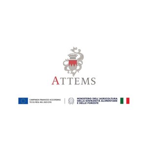 Attems introduces Cicinis 2024, the new vintage of its Sauvignon Blanc from Collio