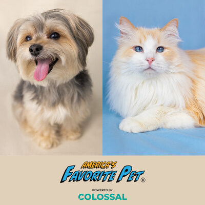 Rockefeller & Sammy: America's Favorite Pet® Crowns 2026 Champions | Raises Millions for Charity