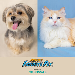 Rockefeller &amp; Sammy: America's Favorite Pet® Crowns 2026 Champions | Raises Millions for Charity