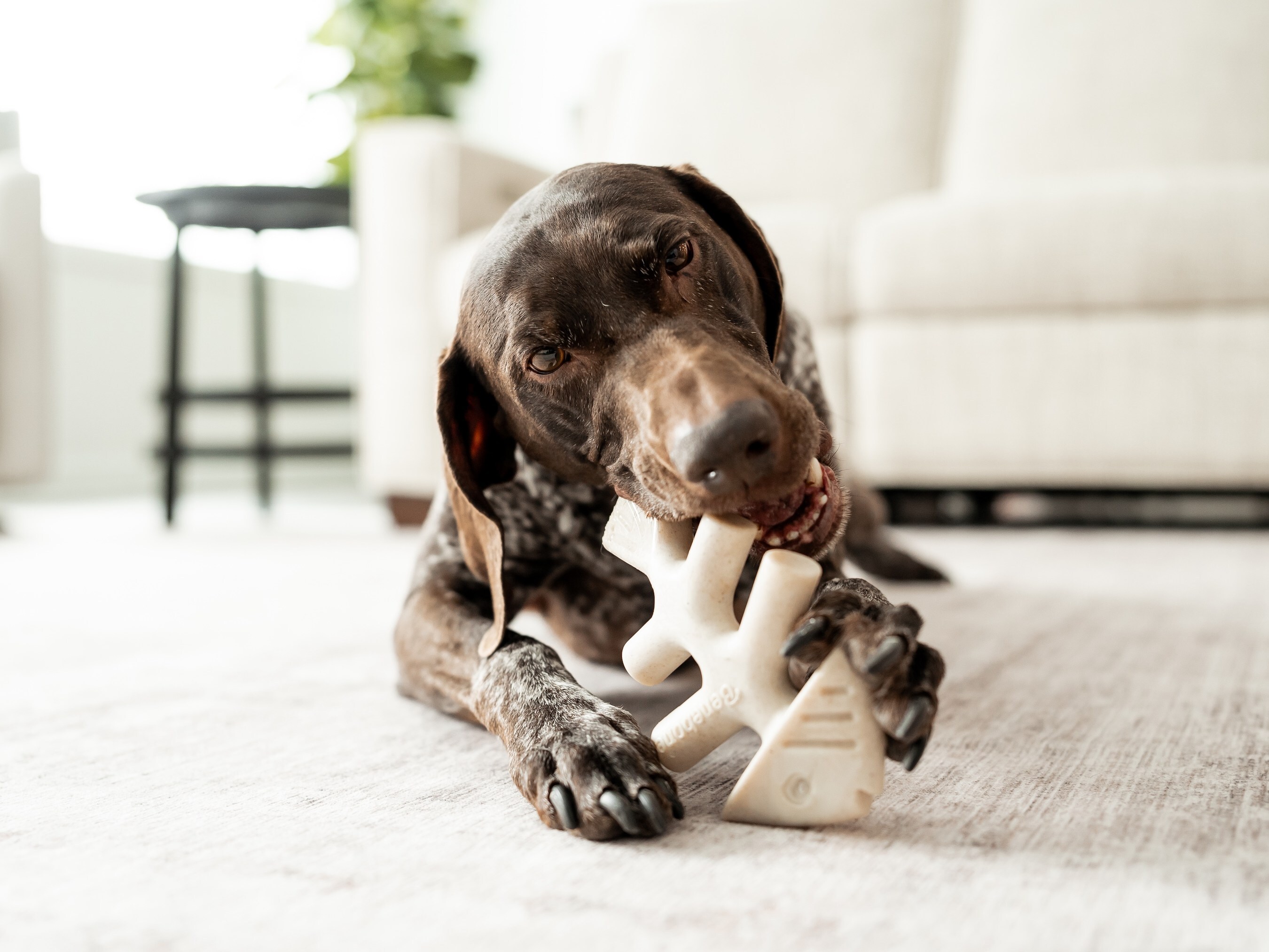 Unable to view the image, Please provide a valid URL.