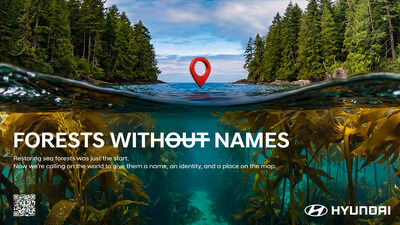Forests Without Names: Hyundai Motor Brings the World's Hidden Sea Forests Into the Light