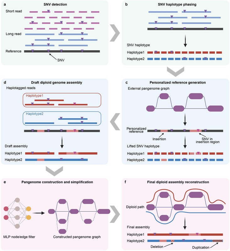 Unable to view the image, Please provide a valid URL.