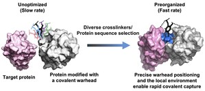Fast-Acting Covalent Protein Drugs From a New High-Throughput Platform