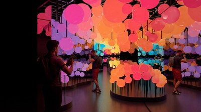 Unable to view the image, Please provide a valid URL.