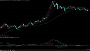 AccuQuant Secures $20 Million in Funding to Advance AI-Driven Financial Infrastructure