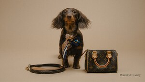 Reunited Luxury Announces Strategic Partnership with FACE Foundation, Pledging Ongoing Financial and Community Support