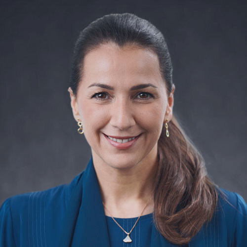 Her Excellency Mariam Almheiri