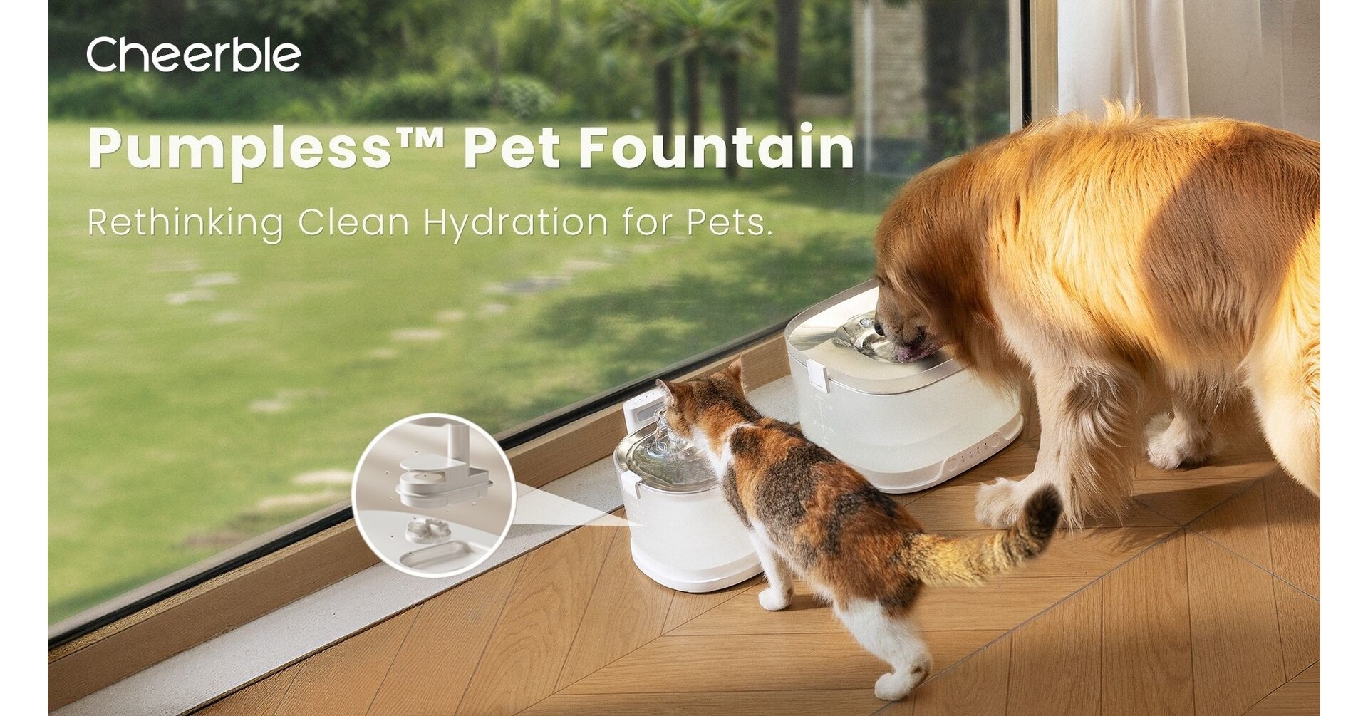 Cheerble Expands Its Pumpless Pet Fountain Lineup with the Launch of Elfin D1 Pro for Dogs