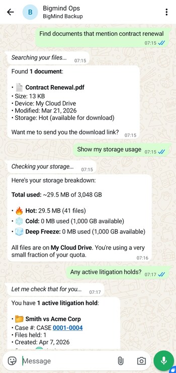 BigMind Ops on WhatsApp gives administrators read-only access to backup status, device health, and file search from any phone. Included with all plans.