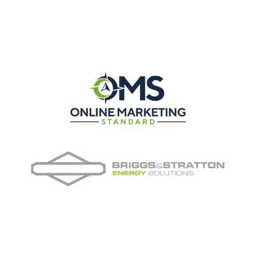 Briggs & Stratton Energy Solutions and Online Marketing Standard