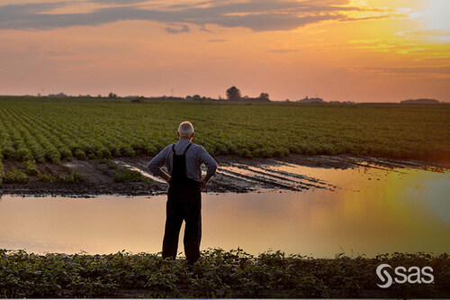 Farmers face threats from flooding, increased soil salinity and saltwater intrusion that destroy crops, endanger livestock and damage expensive farm equipment. Using affordable sensors and IoT analytics, a new project between SAS, the NC State Plant Sciences Initiative and East Carolina University will help growers face these challenges.