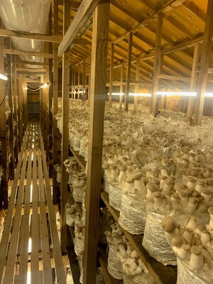 Caputo &amp; Guest Launches Direct-to-Consumer Platform, Bringing Chef-Quality Organic Mushrooms Straight from Farm to Table