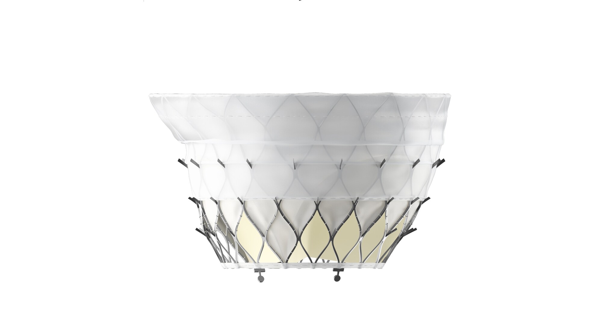 First Implant of KingstronBios ProStyle M&reg; Transcatheter Mitral Valve System Successfully Completed in National Multicenter Confirmatory Study