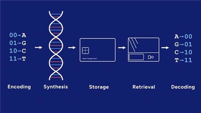 How Molecular Data Storage Works? While the DNA technology landscape remains fragmented across writing, reading, and storage, GenScript brings capabilities across key parts of the DNA data storage value chain, including synthesis, sequencing-related technologies, and platform development. How Molecular Data Storage Works? While the DNA technology landscape remains fragmented across writing, reading, and storage, GenScript brings capabilities across key parts of the DNA data storage value chain, including synthesis, sequencing-related technologies, and platform development.