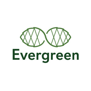 Evergreen's Pine Services Group Sparks AI Innovation with Incubation of Raiz