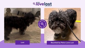 AI For Good: Petco Love Lost Reunites 250,000 Pets - Like Senior Dog Missing for Two Months