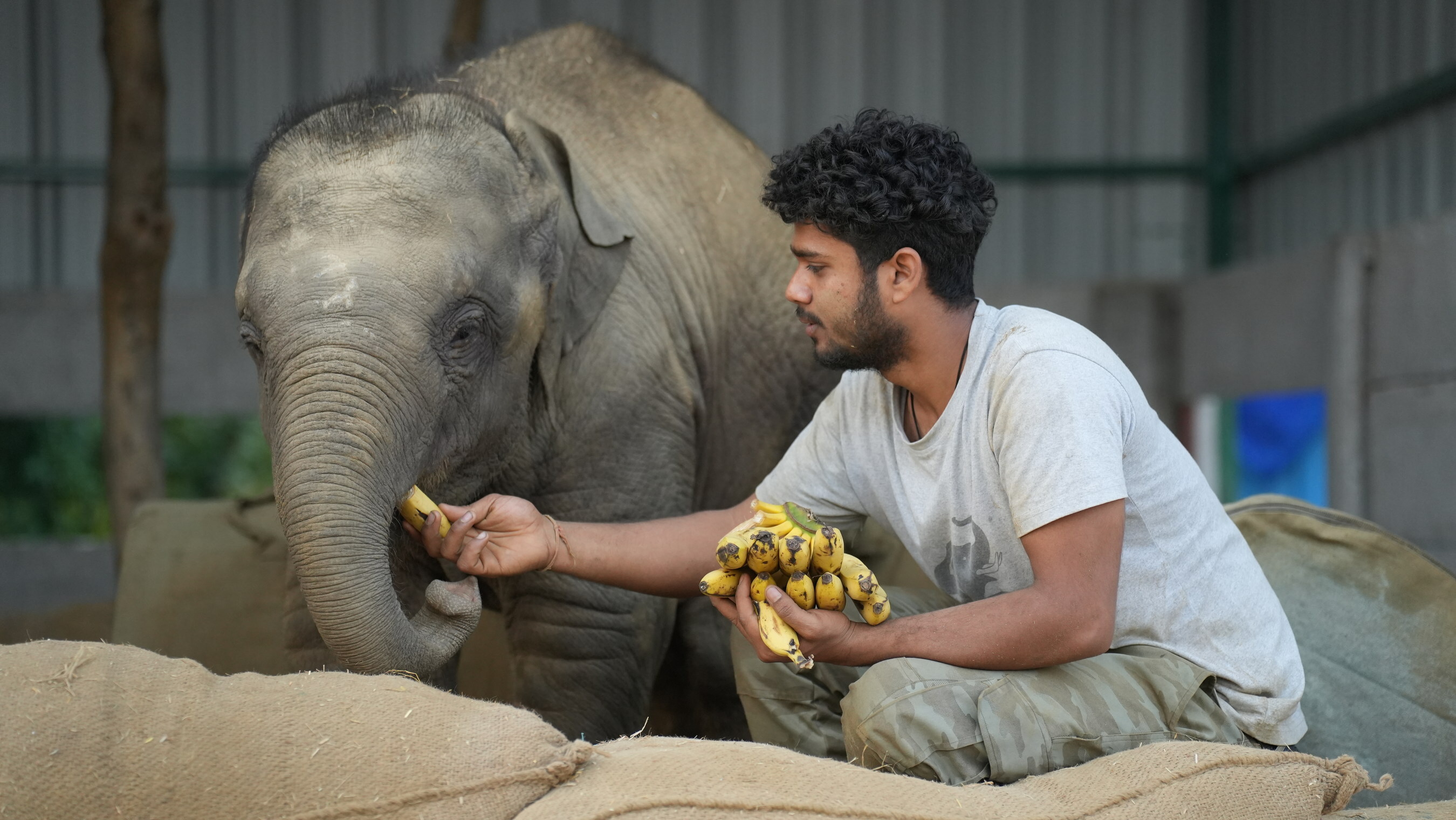 Unable to view the image, Please provide a valid URL.