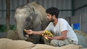 Wildlife SOS announces 13th annual Bid to be Wild online auction