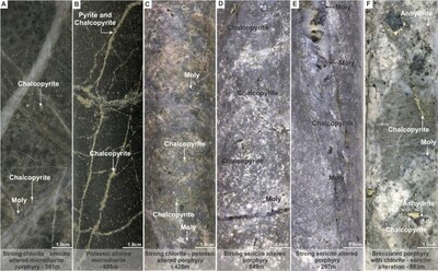 Figure 4. Representative core photographs from MD-058, MD-059 and MD-060 illustrating porphyry-style mineralization and associated hydrothermal alteration. Images highlight the presence of well-developed sulfide mineralization and vein-hosted copper and molybdenum, including higher-grade core zones intersected in directional daughter holes. Note: A-B for MD-058, C-D for MD-059 (C and D) and E-F for MD-060. (CNW Group/COPPER GIANT RESOURCES CORP.)