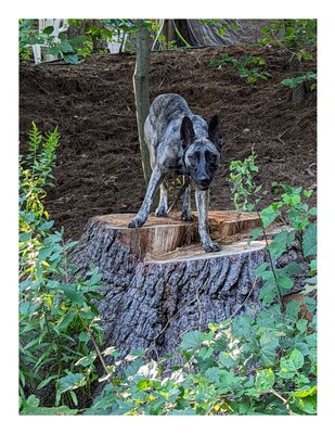 Unable to view the image, Please provide a valid URL.