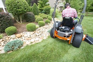 Get Your Yard Ready With These 7 Spring Lawn Tips