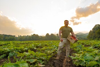 The Gaia Herbs Farm, Brevard NC
