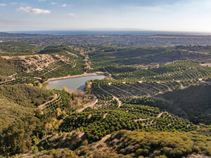 FarmTogether Launches First Avocado Investment with Coastal Santa Barbara Property
