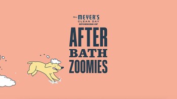 Celebrating the chaotic, short-lived moments pet parents know and love, the campaign turns a familiar behavior into something shareable. Celebrating the chaotic, short-lived moments pet parents know and love, the campaign turns a familiar behavior into something shareable.