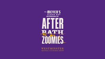 In partnership with the Westminster Kennel Club, After Bath Zoomies celebrates the expressive personalities dogs unleash after one of pet parenting’s most familiar moments. In partnership with the Westminster Kennel Club, After Bath Zoomies celebrates the expressive personalities dogs unleash after one of pet parenting’s most familiar moments.